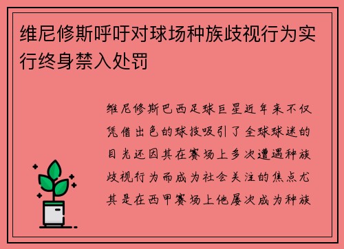 维尼修斯呼吁对球场种族歧视行为实行终身禁入处罚