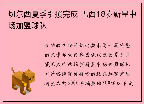 切尔西夏季引援完成 巴西18岁新星中场加盟球队